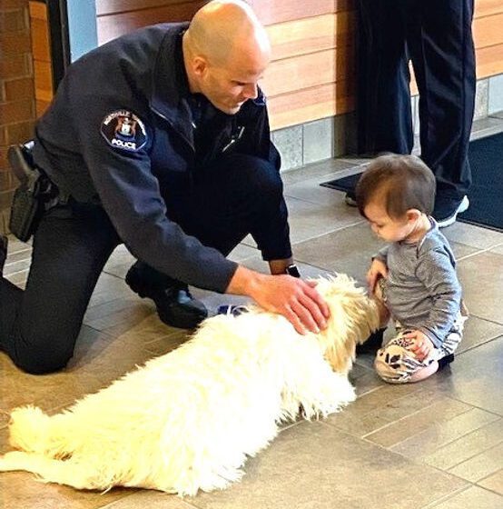  Name of new Northville Township therapy puppy chosen after unique process