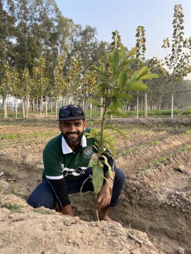 Fruit Trees Plantation